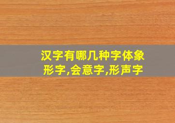 汉字有哪几种字体象形字,会意字,形声字