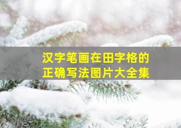 汉字笔画在田字格的正确写法图片大全集