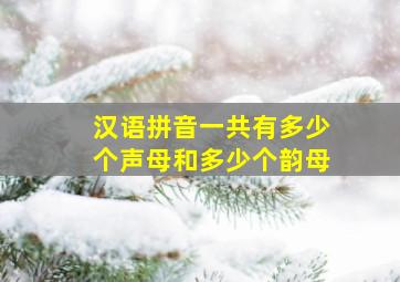 汉语拼音一共有多少个声母和多少个韵母