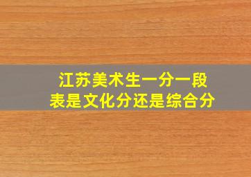 江苏美术生一分一段表是文化分还是综合分