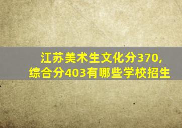 江苏美术生文化分370,综合分403有哪些学校招生