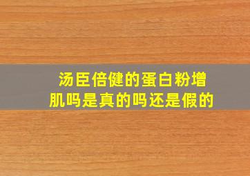 汤臣倍健的蛋白粉增肌吗是真的吗还是假的