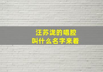 汪苏泷的唱腔叫什么名字来着