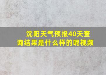 沈阳天气预报40天查询结果是什么样的呢视频