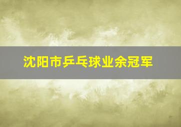 沈阳市乒乓球业余冠军