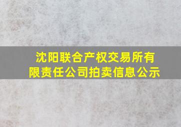 沈阳联合产权交易所有限责任公司拍卖信息公示