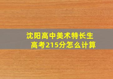 沈阳高中美术特长生高考215分怎么计算