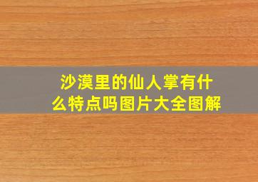 沙漠里的仙人掌有什么特点吗图片大全图解