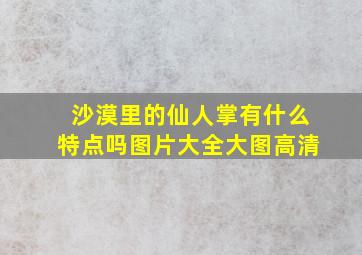 沙漠里的仙人掌有什么特点吗图片大全大图高清