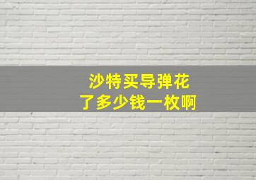 沙特买导弹花了多少钱一枚啊