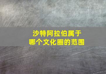 沙特阿拉伯属于哪个文化圈的范围