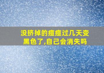 没挤掉的痘痘过几天变黑色了,自己会消失吗