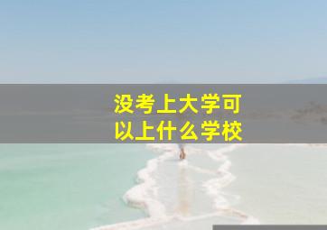 没考上大学可以上什么学校