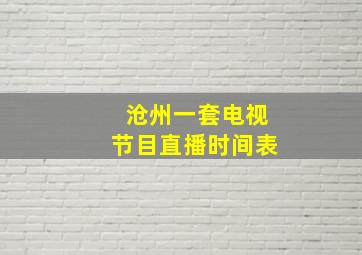 沧州一套电视节目直播时间表