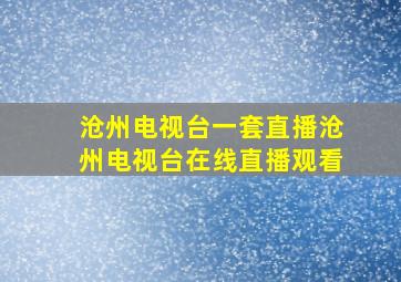 沧州电视台一套直播沧州电视台在线直播观看