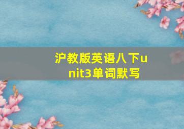 沪教版英语八下unit3单词默写