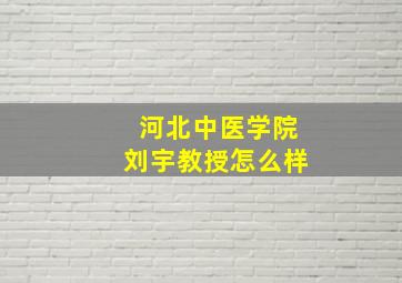 河北中医学院刘宇教授怎么样