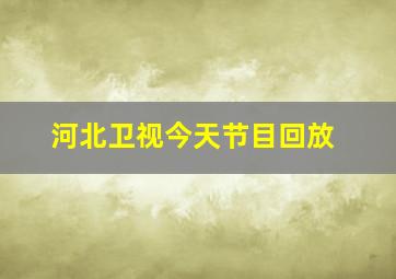 河北卫视今天节目回放