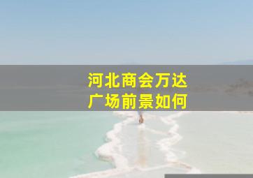 河北商会万达广场前景如何