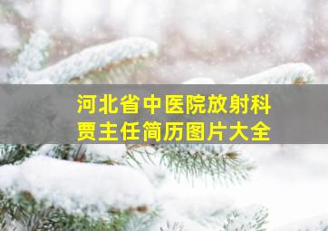 河北省中医院放射科贾主任简历图片大全