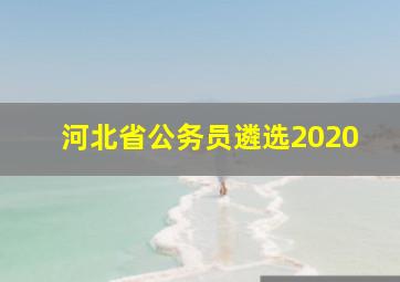 河北省公务员遴选2020