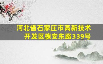 河北省石家庄市高新技术开发区槐安东路339号