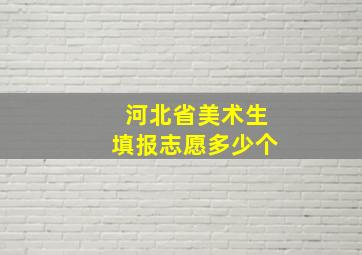 河北省美术生填报志愿多少个