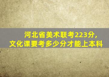 河北省美术联考223分,文化课要考多少分才能上本科