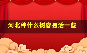 河北种什么树容易活一些