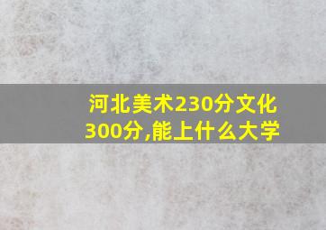 河北美术230分文化300分,能上什么大学