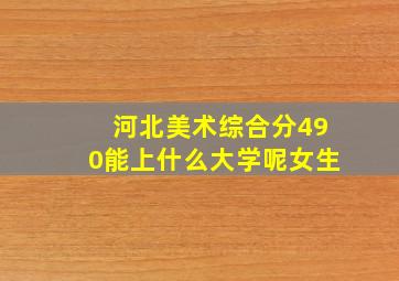 河北美术综合分490能上什么大学呢女生