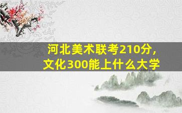 河北美术联考210分,文化300能上什么大学