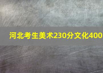 河北考生美术230分文化400