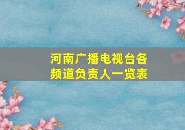 河南广播电视台各频道负责人一览表