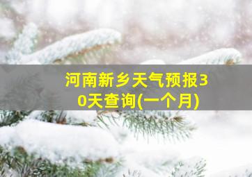 河南新乡天气预报30天查询(一个月)