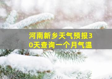 河南新乡天气预报30天查询一个月气温