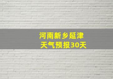 河南新乡延津天气预报30天