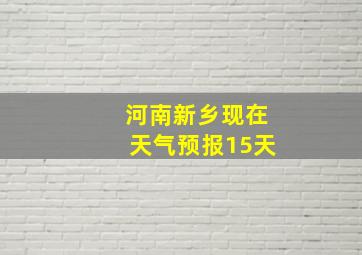 河南新乡现在天气预报15天