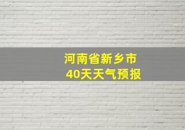 河南省新乡市40天天气预报