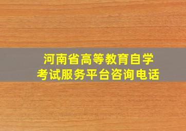 河南省高等教育自学考试服务平台咨询电话