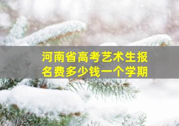 河南省高考艺术生报名费多少钱一个学期