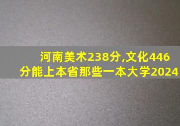 河南美术238分,文化446分能上本省那些一本大学2024