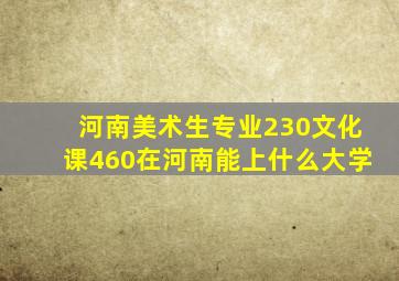 河南美术生专业230文化课460在河南能上什么大学