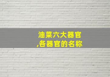 油菜六大器官,各器官的名称