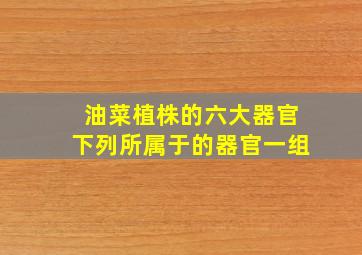 油菜植株的六大器官下列所属于的器官一组