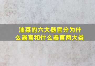 油菜的六大器官分为什么器官和什么器官两大类