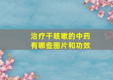 治疗干咳嗽的中药有哪些图片和功效