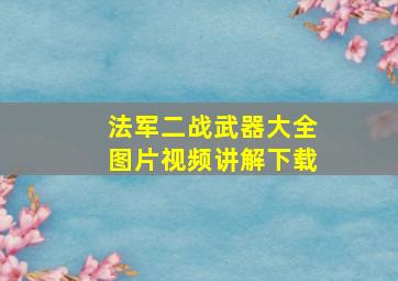 法军二战武器大全图片视频讲解下载