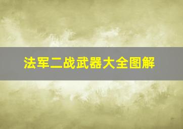 法军二战武器大全图解