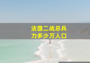 法国二战总兵力多少万人口